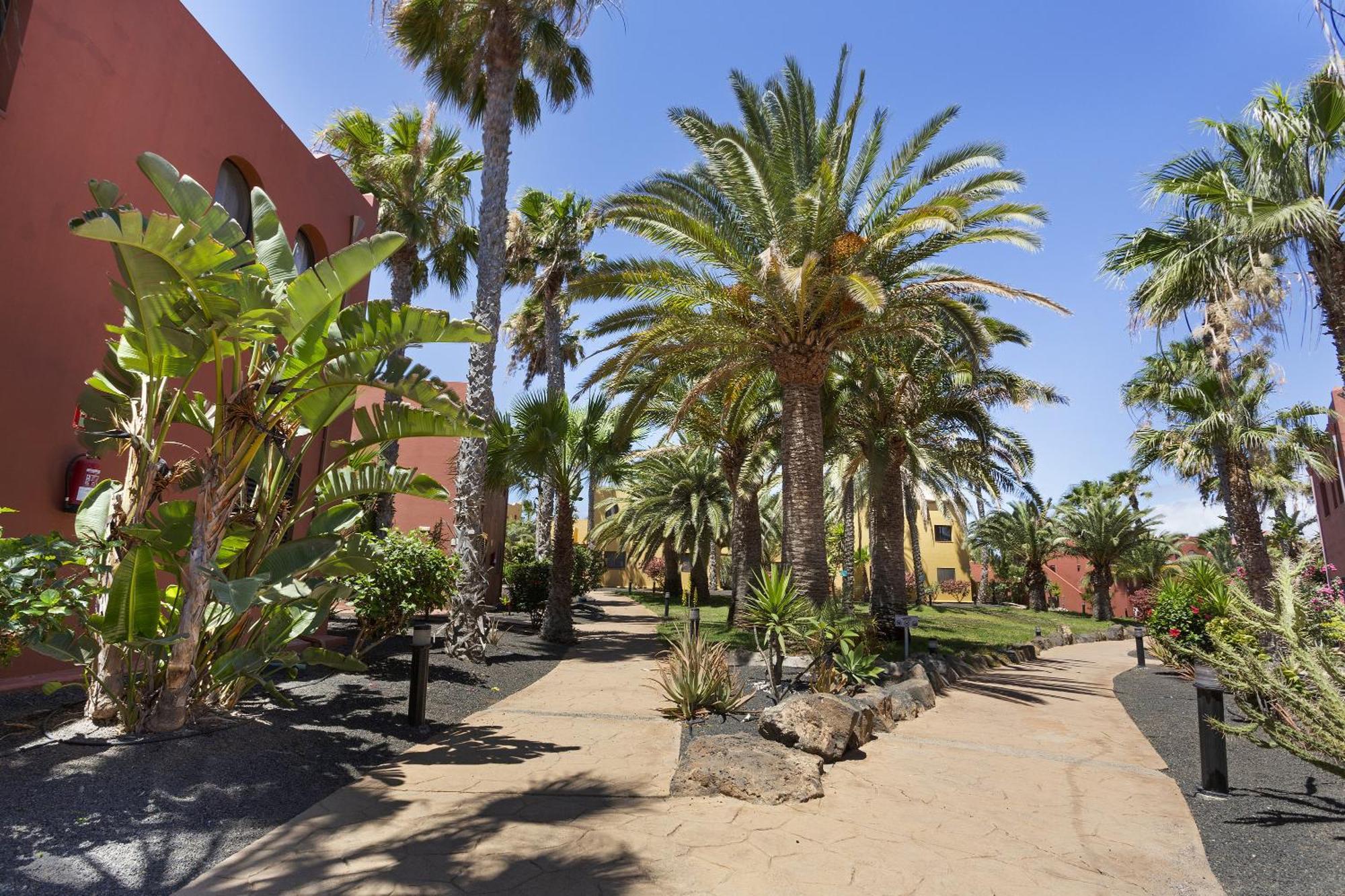 הוילה קורלחו Casa Desierto Azul חדר תמונה